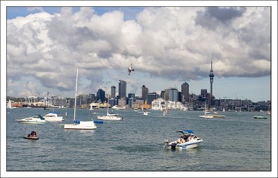 Bayswater Marina