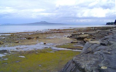 Murrays Bay rocks - Rangitoto in the distance
