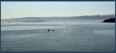 Wellington Harbour