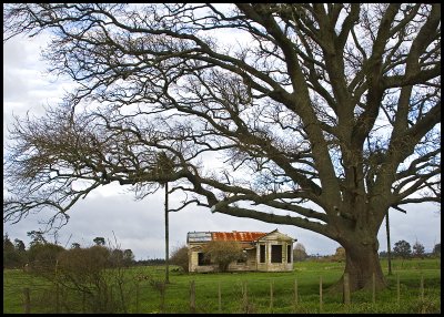 Dilapidated farmhouse