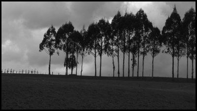 Duxfield Park