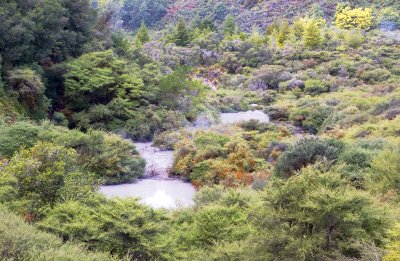 Grey Hot Muddy Stream