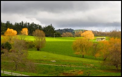 Maungatautari Farmland