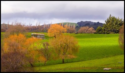 Maungatautari Farmland