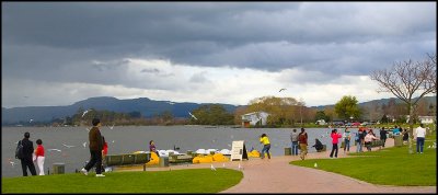 Lake Rotorua