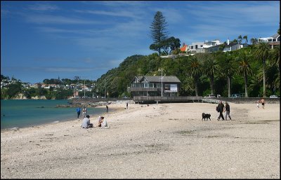 Kohimarama Beach