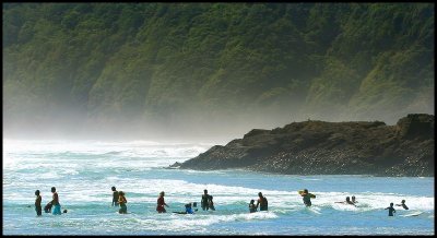 Piha Surf