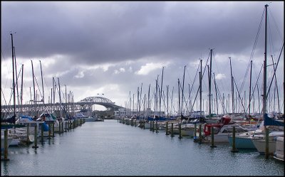 Westhaven Marina and the Auckland Harbour Bridge