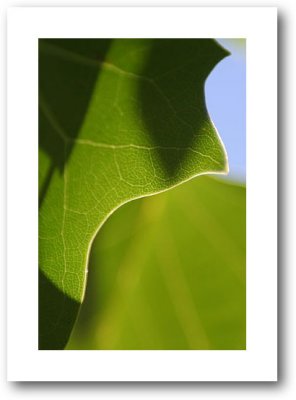 Quad_4863.jpg