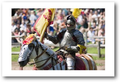sterling renaissance fair