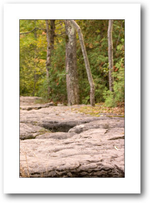 clark reservation state park
