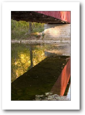 st_8515.jpg