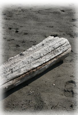 September 2007 043.jpg