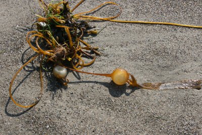 September 2007 064.jpg