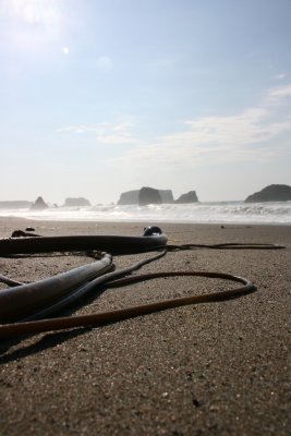 September 2007 070.jpg