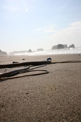 September 2007 071.jpg