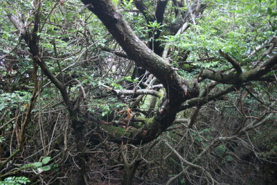 October 2007 048.jpg