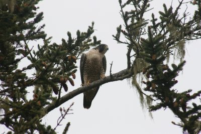 October 2007 068.jpg