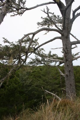 October 2007 073.jpg