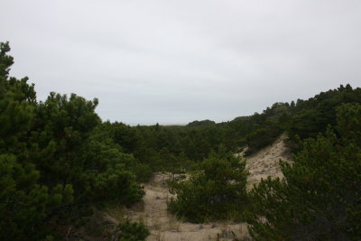 October 2007 082.jpg