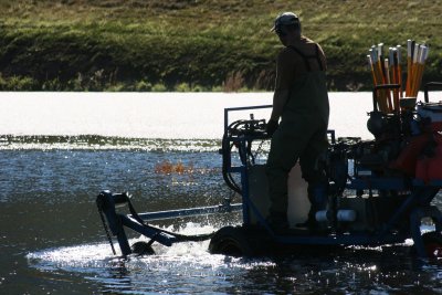 Cranberry Harvest