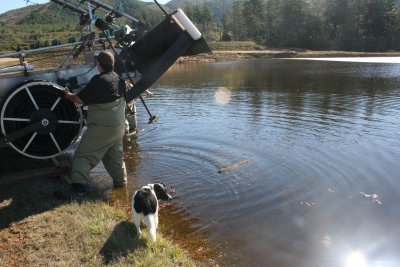 October 2007 022.jpg