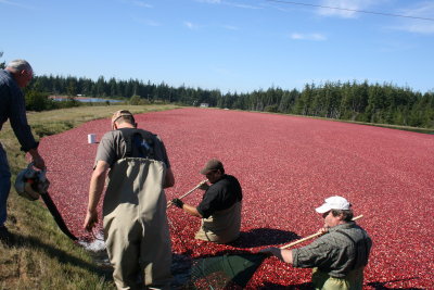 October 2007 078.jpg