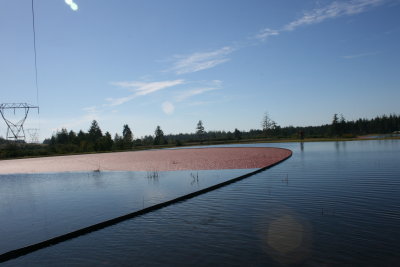 October 2007 097.jpg