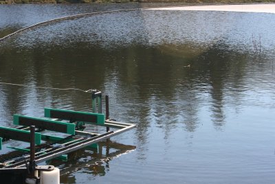 October 2007 098.jpg