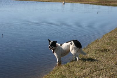 October 2007 103.jpg