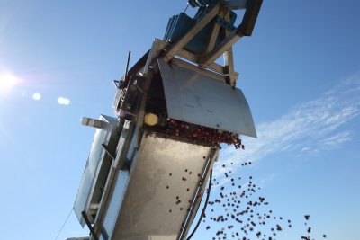October 2007 121.jpg