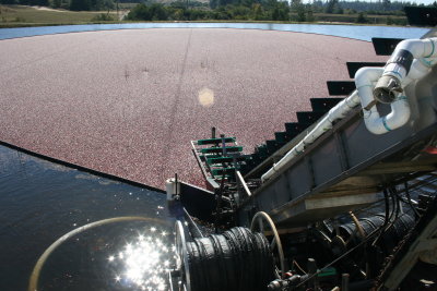 October 2007 122.jpg
