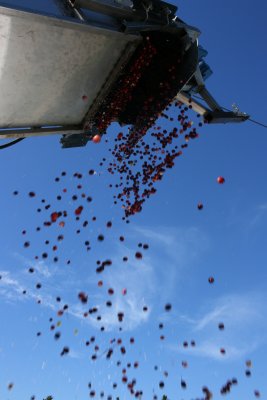 October 2007 127.jpg