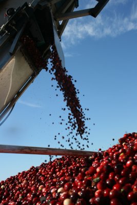 October 2007 159.jpg