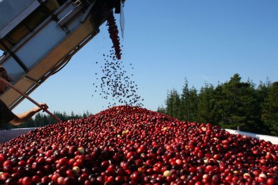 October 2007 160.jpg