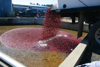October 2007 168.jpg