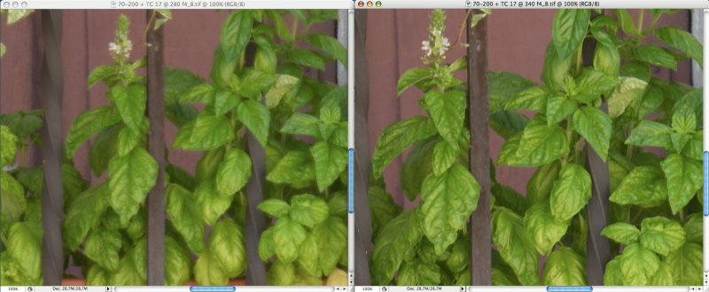 TC-17E wide open at 280 mm vs 340 mm