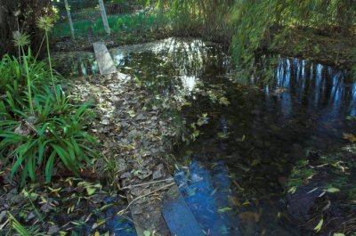 mini ponds of blue