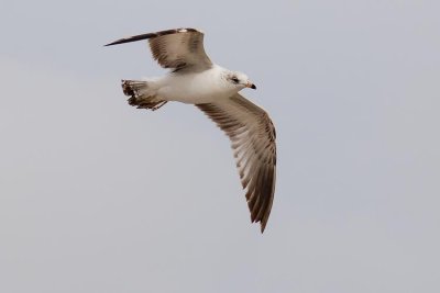 DSC_5308.JPG