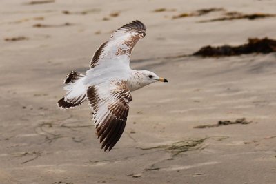 DSC_5583.JPG