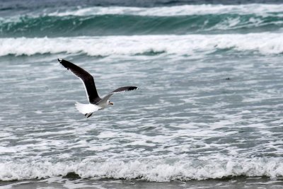 DSC_5612.JPG