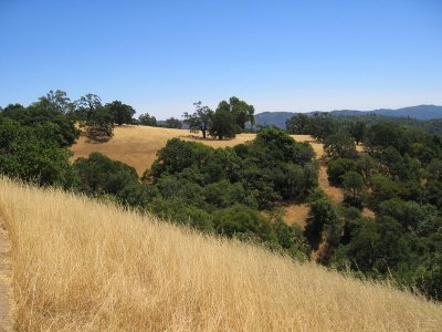 IMG_1513.jpg