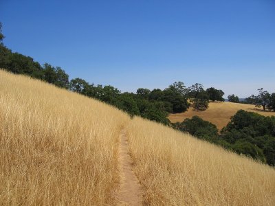 STA_1499.jpg