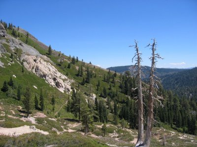 IMG_1514.jpg