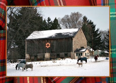 Christmas Barn Star - with border, no text