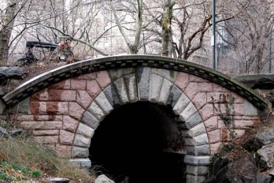 A Central Park Carriage Ride