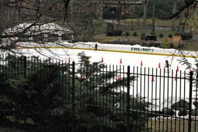 Trump Central Park Wolman Rink