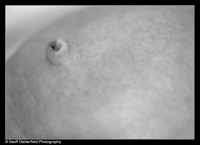 _MG_3373.jpg