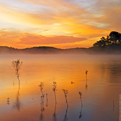 Smooth waters II