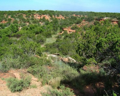 Looking at Bull Canyon Trail